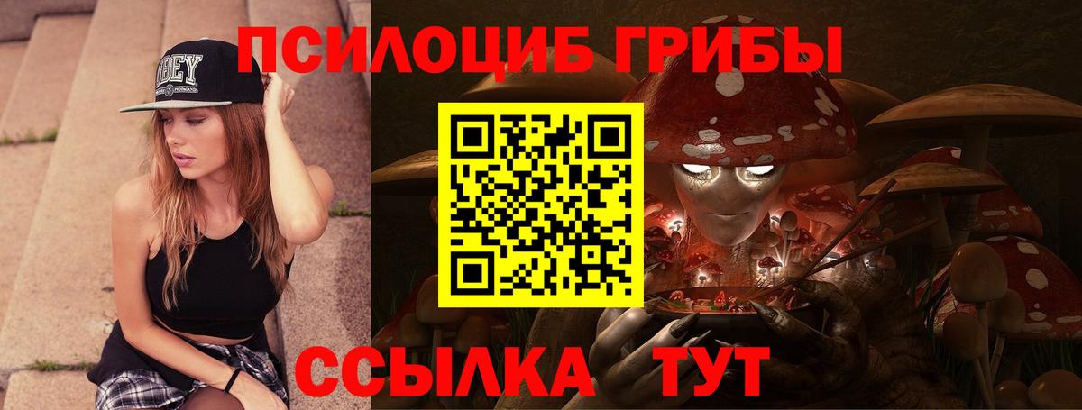Ижевск  Псилоцибиновые грибы Psilocybe  Вход с VPN  Псилоцибиновые грибы Cubensis 